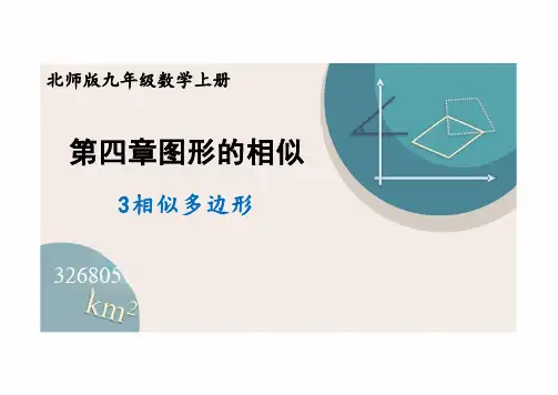北师大版九年级数学上册课件 4.3 相似多边形