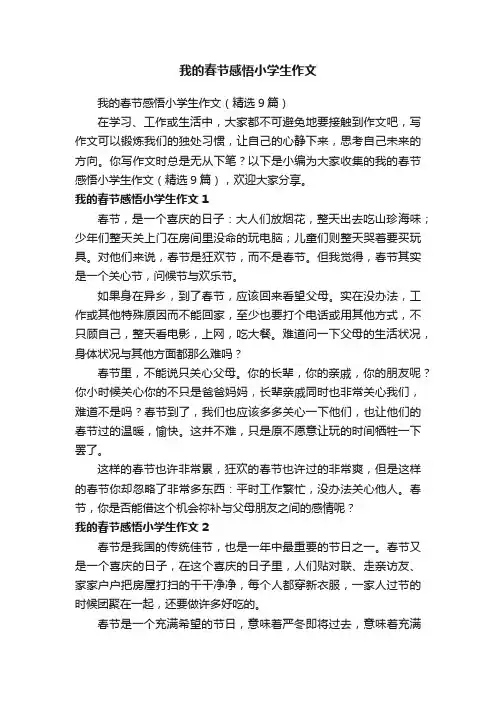我的春节感悟小学生作文（精选9篇）