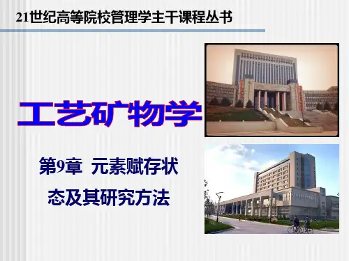 第七章 元素赋存状态及其研究