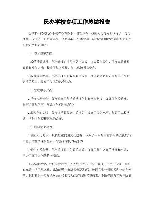 民办学校专项工作总结报告