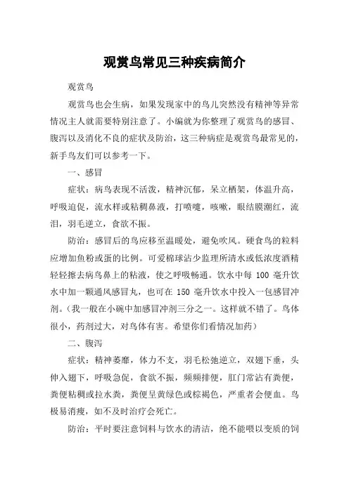 观赏鸟常见三种疾病简介