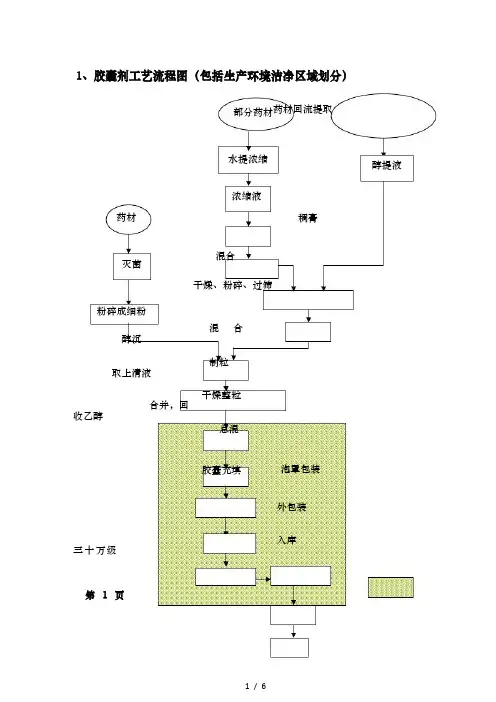 保健品工艺制备图