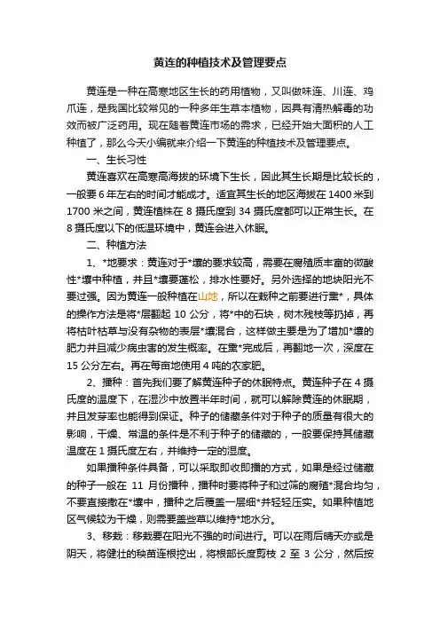 黄连的种植技术及管理要点