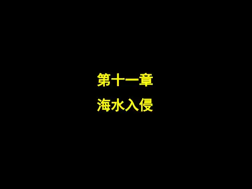 第十一讲海水入侵解读