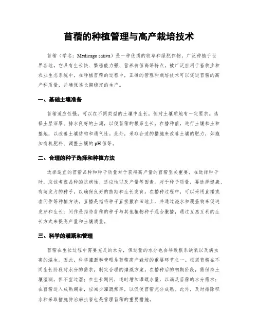 苜蓿的种植管理与高产栽培技术