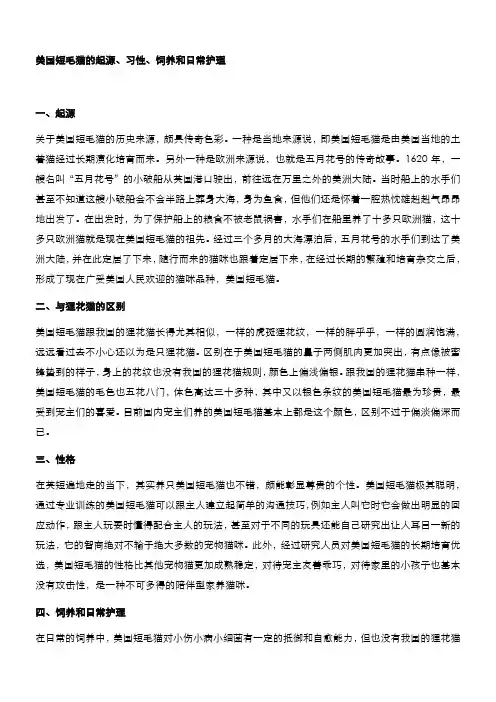 美国短毛猫的起源、习性、饲养和日常护理