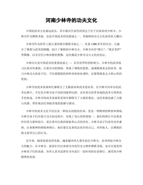 河南少林寺的功夫文化