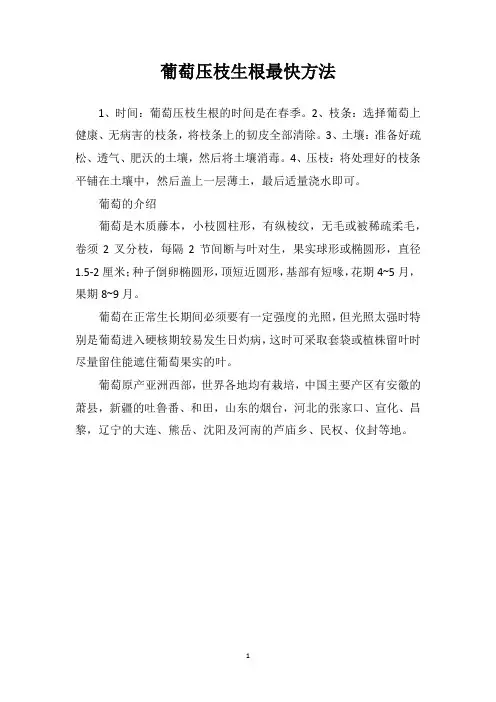 葡萄压枝生根最快方法
