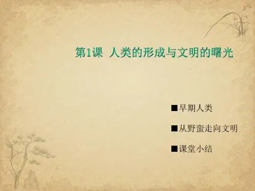【一线精品】  人类的形成与文明的曙光4 川教版优秀公开课件