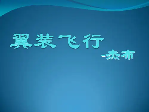 翼装飞行