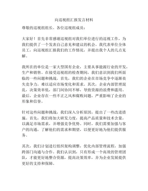 向巡视组汇报发言材料