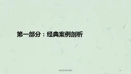 金堂项目规划建议ppt课件