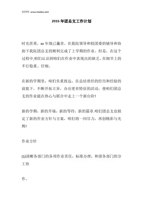 2016年团总支工作计划