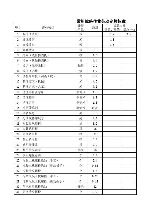 (常用)线路设备养护维修劳动定额标准