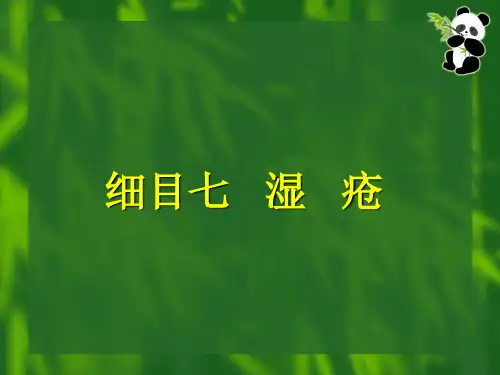 《中医外科学》课件  细目七 湿疮