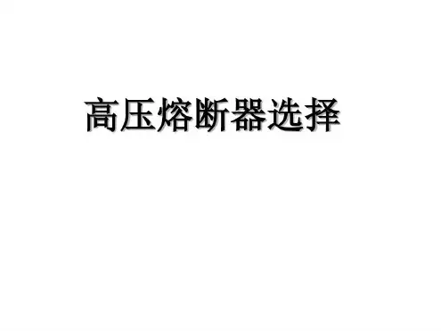 高压熔断器选择参考文档-2022年学习资料