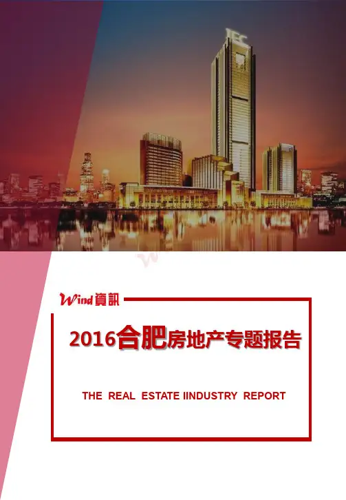 2016年合肥房地产专题报告