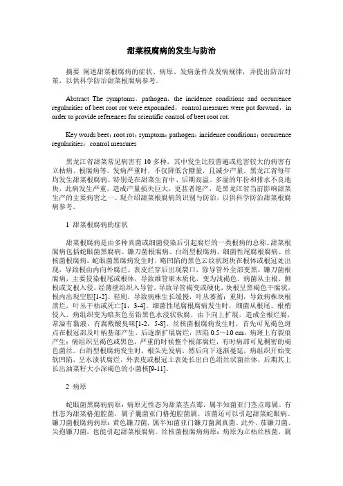 甜菜根腐病的发生与防治