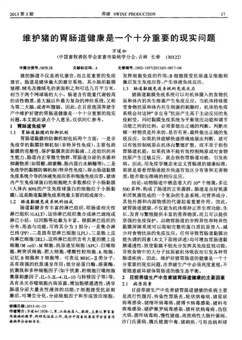 维护猪的胃肠道健康是一个十分重要的现实问题