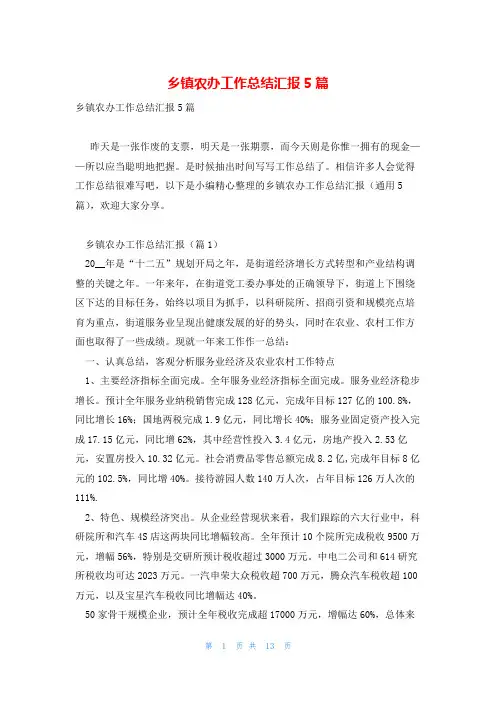 乡镇农办工作总结汇报5篇