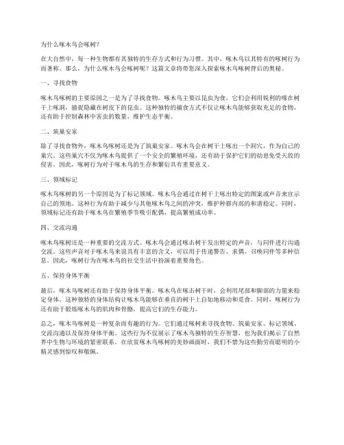 为什么啄木鸟会啄树？
