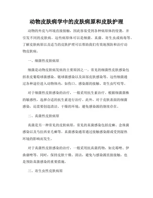 动物皮肤病学中的皮肤病原和皮肤护理