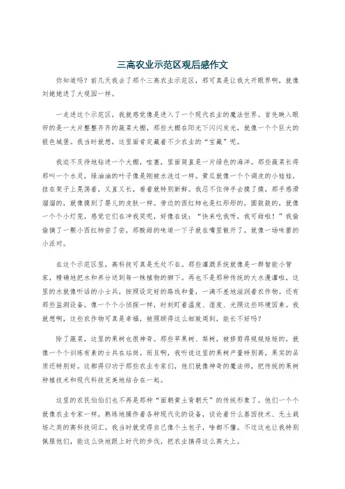 三高农业示范区观后感作文