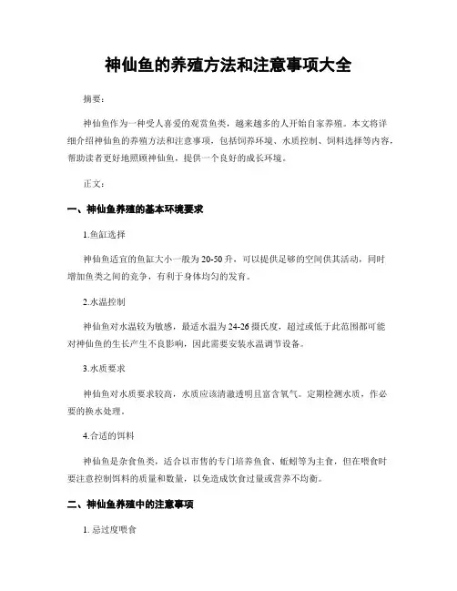 神仙鱼的养殖方法和注意事项大全