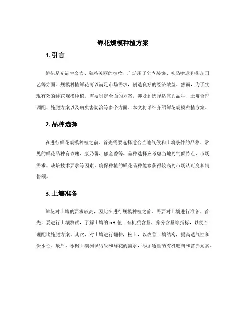 鲜花规模种植方案