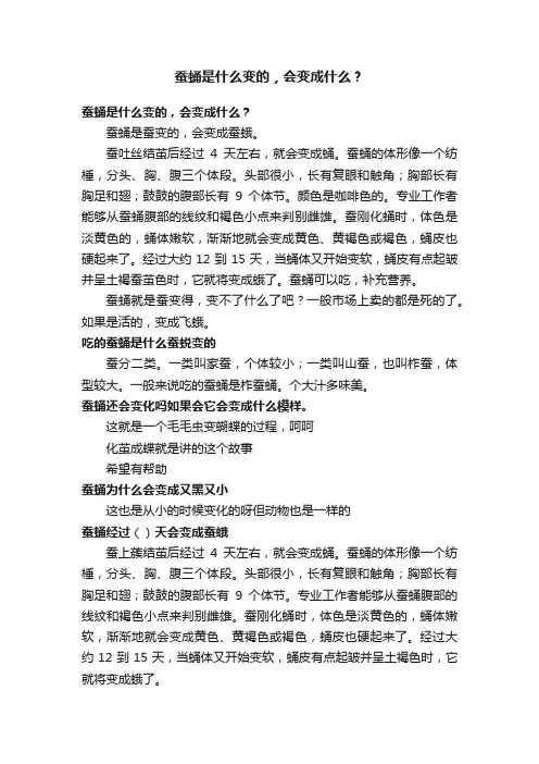 蚕蛹是什么变的，会变成什么？
