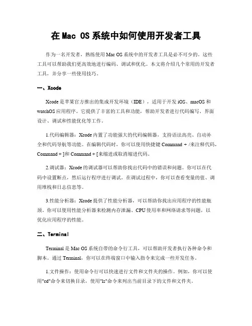 在Mac OS系统中如何使用开发者工具