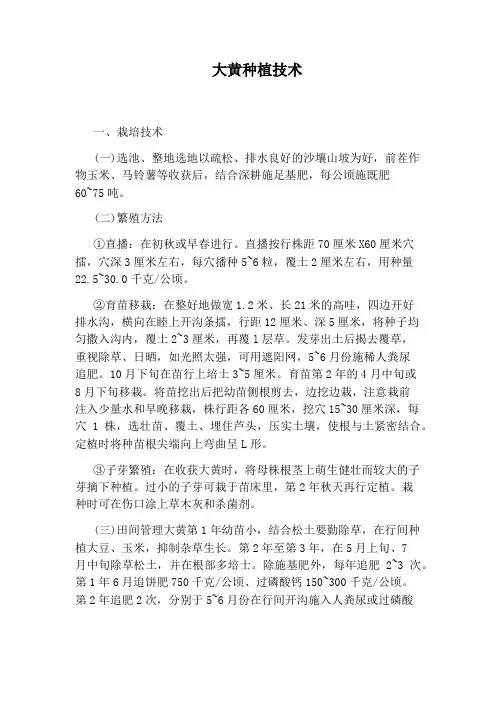 大黄种植技术