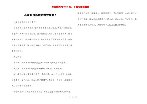 小麦蚜虫怎样防治效果好？