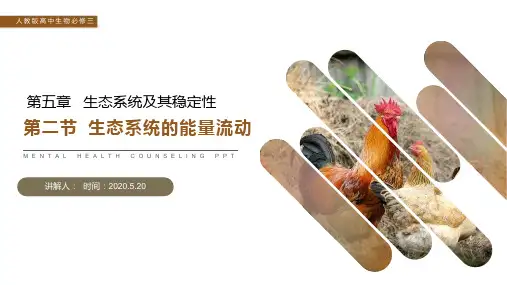 《生态系统的能量流动》人教版高二生物必修三PPT课件