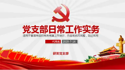 党支部日常工作实务