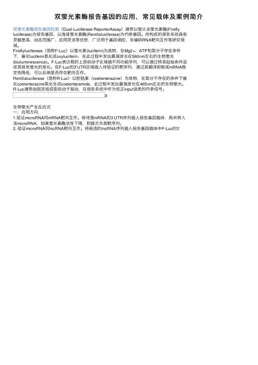 双萤光素酶报告基因的应用，常见载体及案例简介