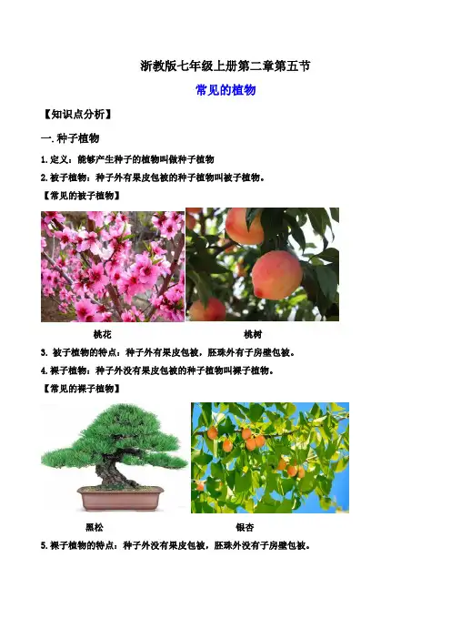 2-5常见的植物(讲义)-2023-2024学年七年级科学上册讲练课堂(浙教版)