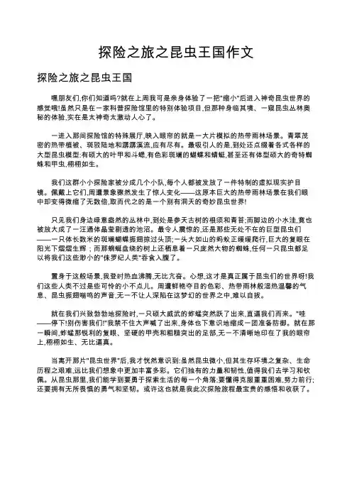 探险之旅之昆虫王国作文