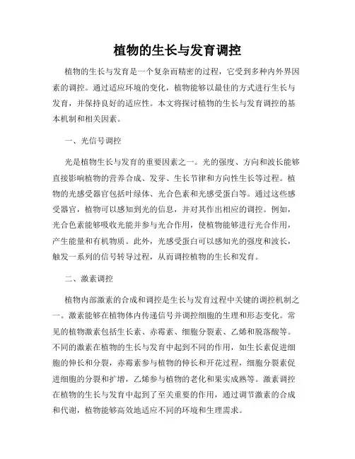 植物的生长与发育调控