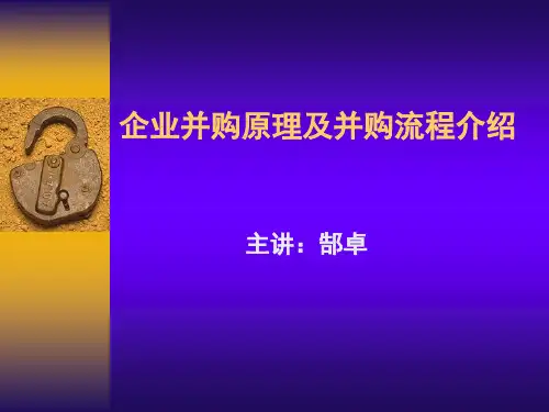 并购原理及流程ppt课件