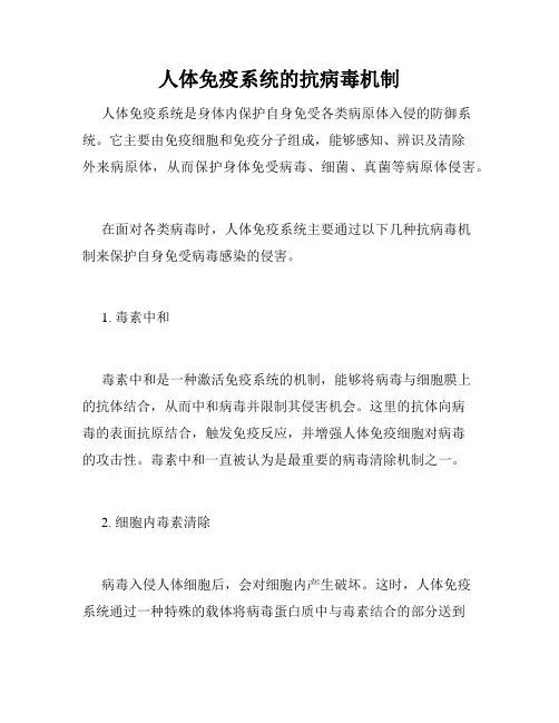人体免疫系统的抗病毒机制