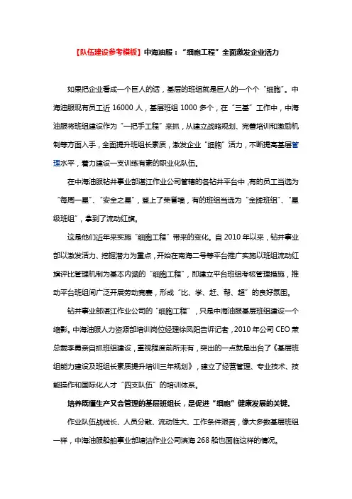 【队伍建设】和【精细化管理】参考模板