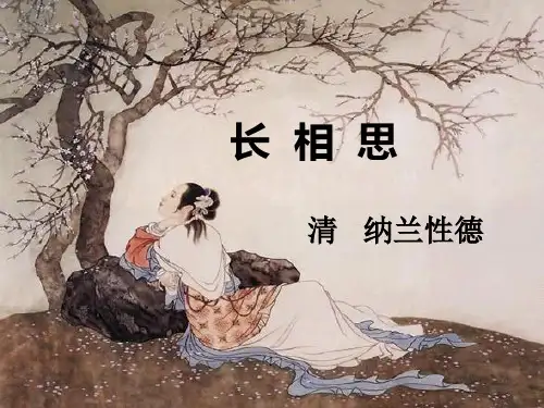 长相思精华版ppt
