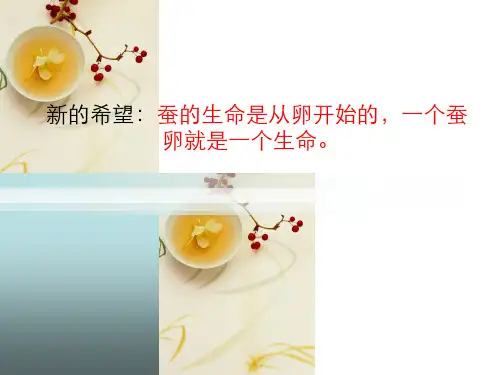 动物的生命周期
