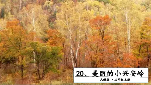 三级上册语文课件 美丽的小兴安岭 第一课时人教部编版 