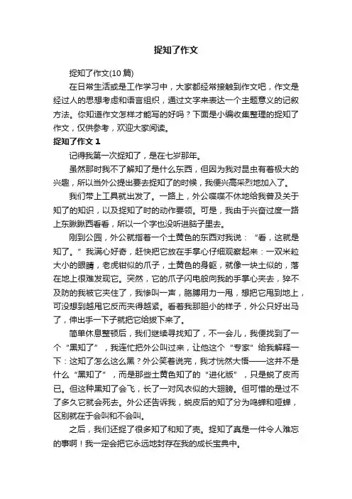 捉知了作文