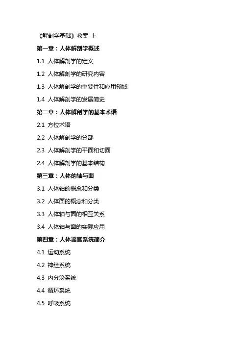 《解剖学基础》教案上