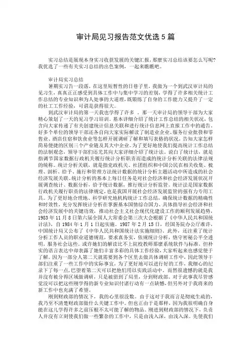 审计局见习报告范文优选5篇