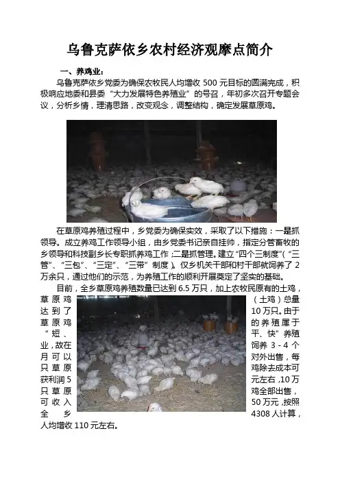 观摩点情况简介
