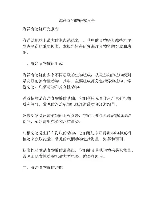 海洋食物链研究报告